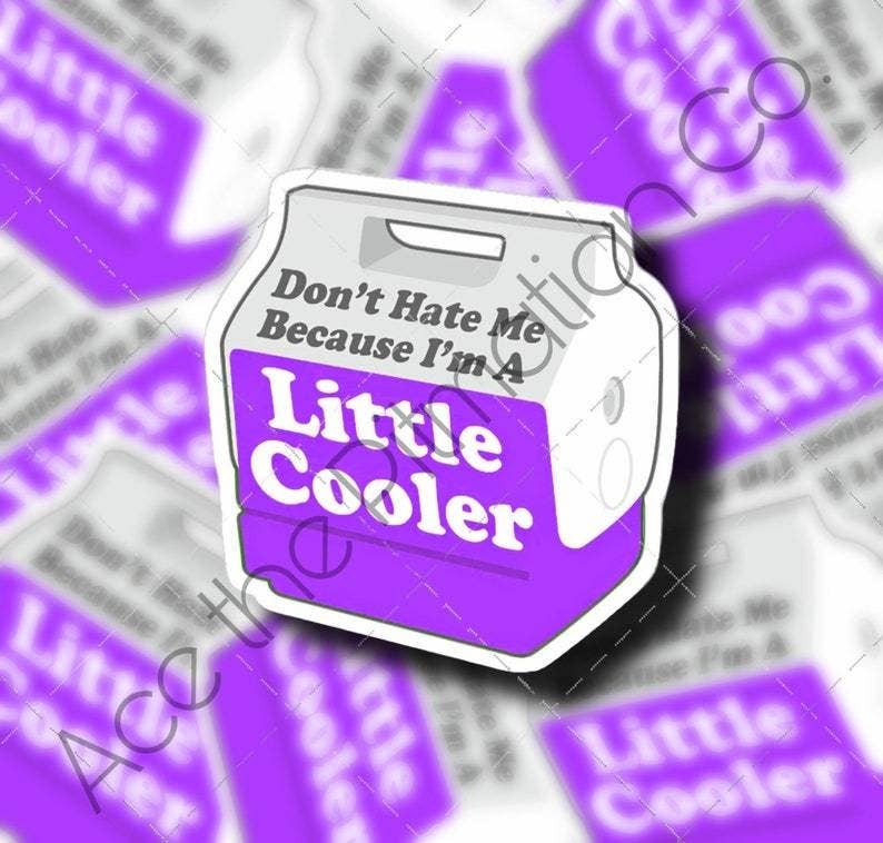 Don’t Hate Me Because I’m a Little Cooler Sticker: Pink