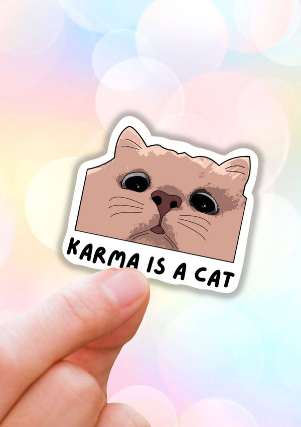 Karma is a cat swiftie vinyl sticker